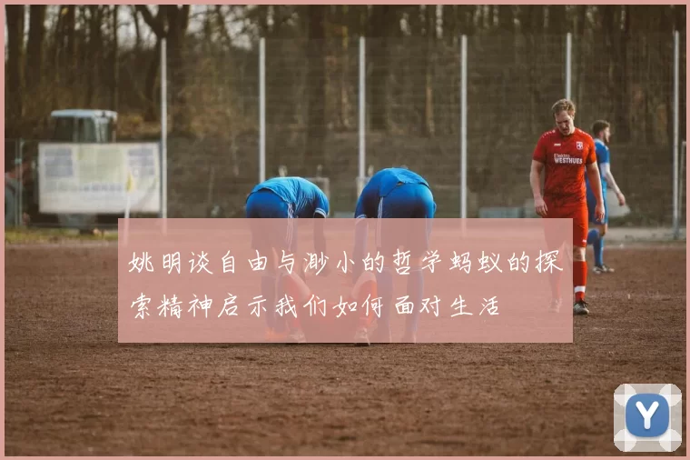 姚明谈自由与渺小的哲学蚂蚁的探索精神启示我们如何面对生活